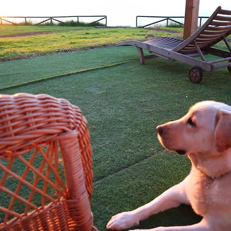 Casa Particular 3* Каравия