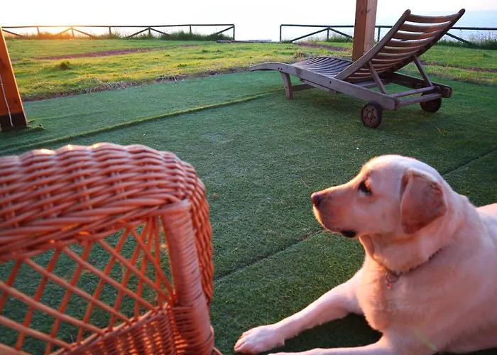 Casa Particular 3* Caravia